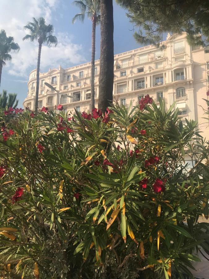 New - Cosy & In Palais Miramar Cannes